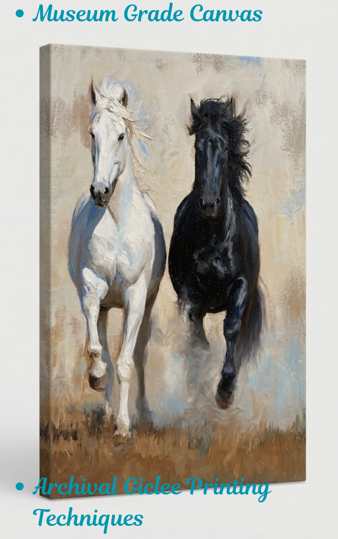 Dual Majesty: Black and White Horses Canvas Art Print