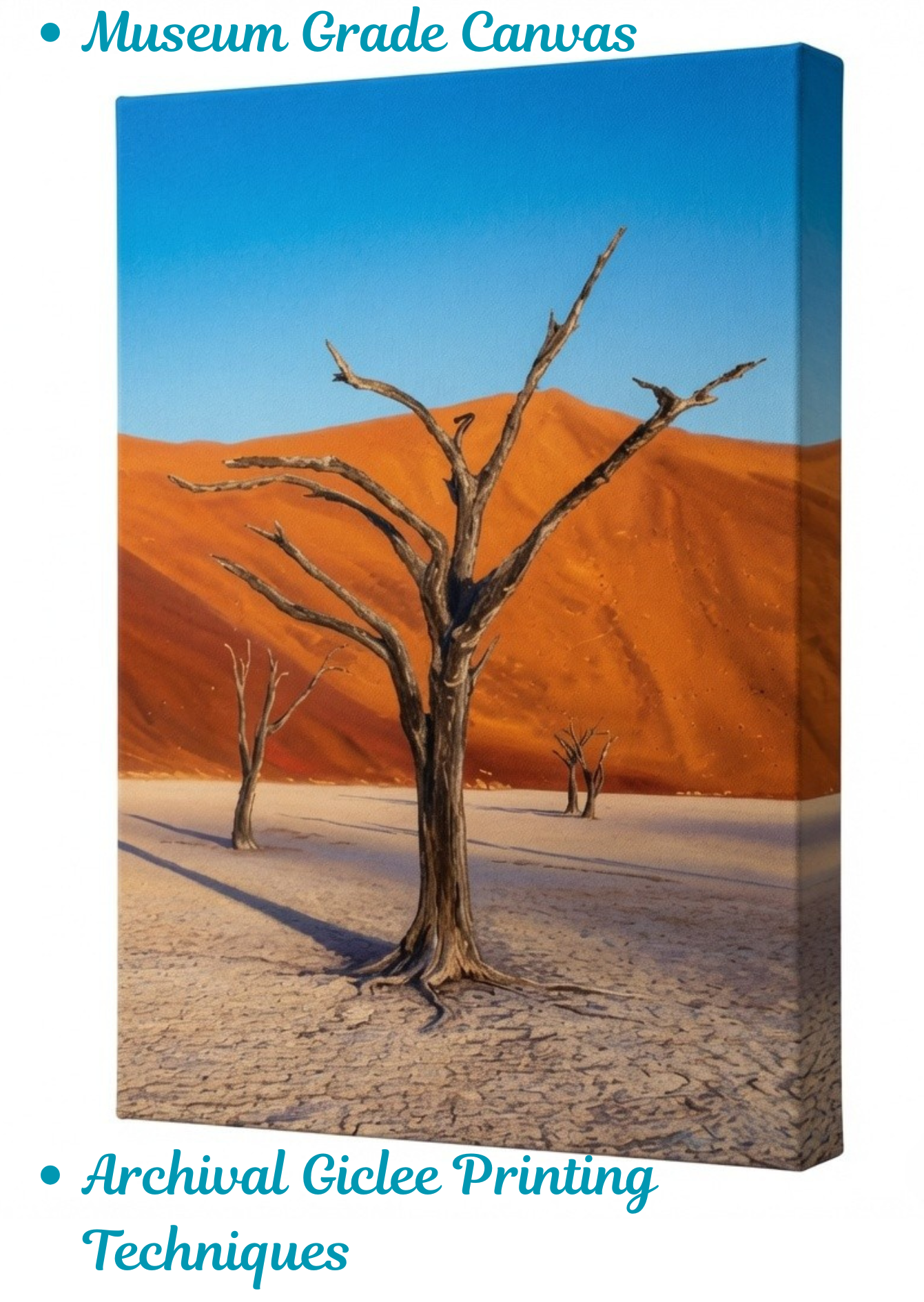 Silent Desert: Impressionist Deadvlei Namibia Dunes Canvas Art Print